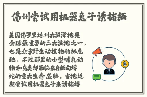 如何自w到高c详细图